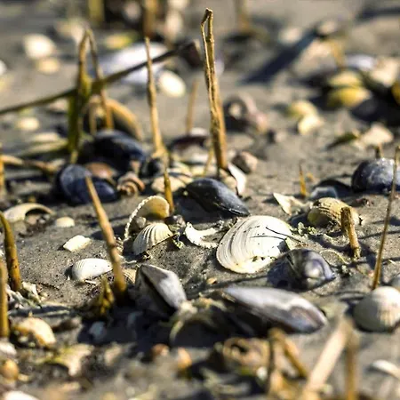 Σπίτι διακοπών 8920-orsted-ternevej-16 *